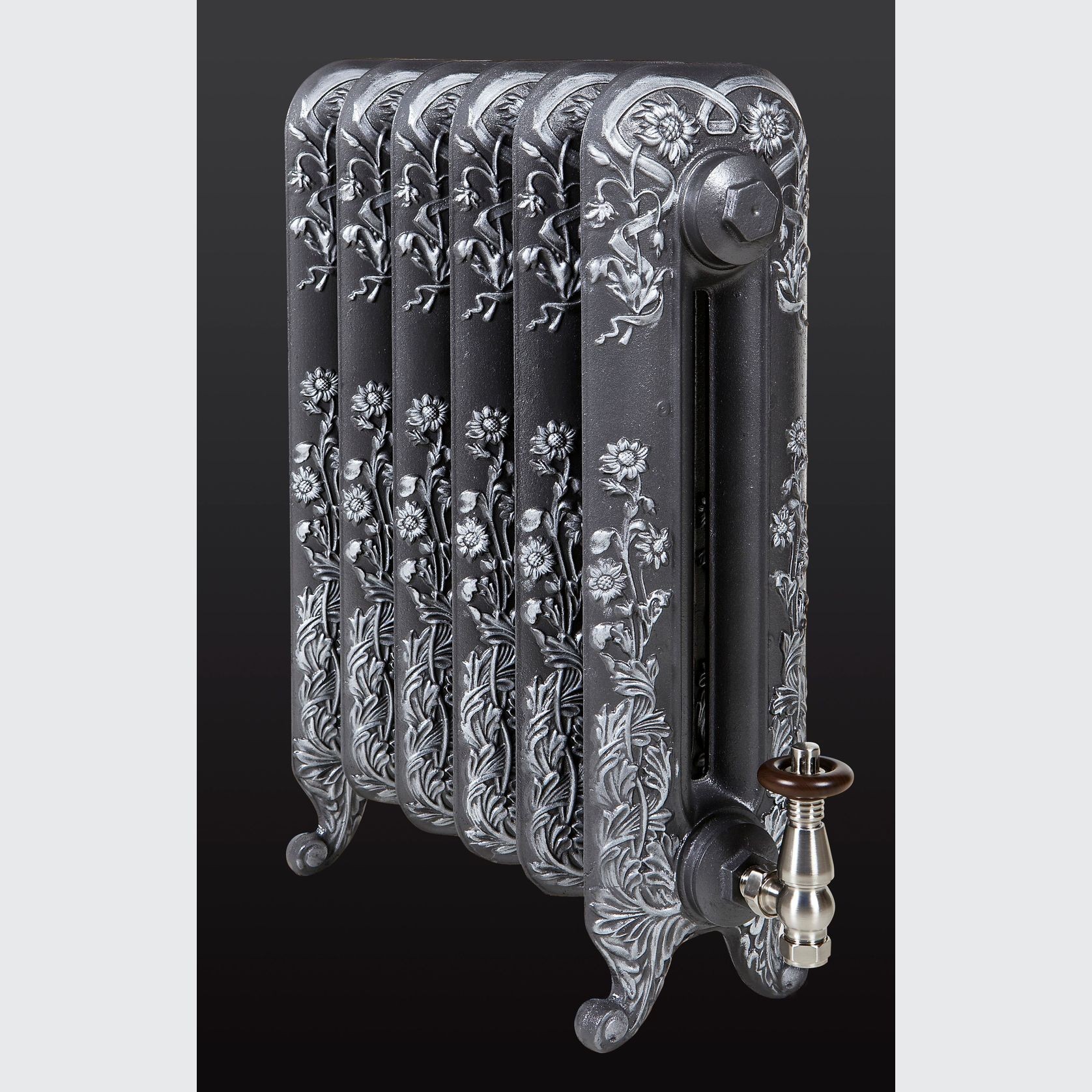 Paladin Cast Iron Radiators Custom Finish Choices gallery detail image