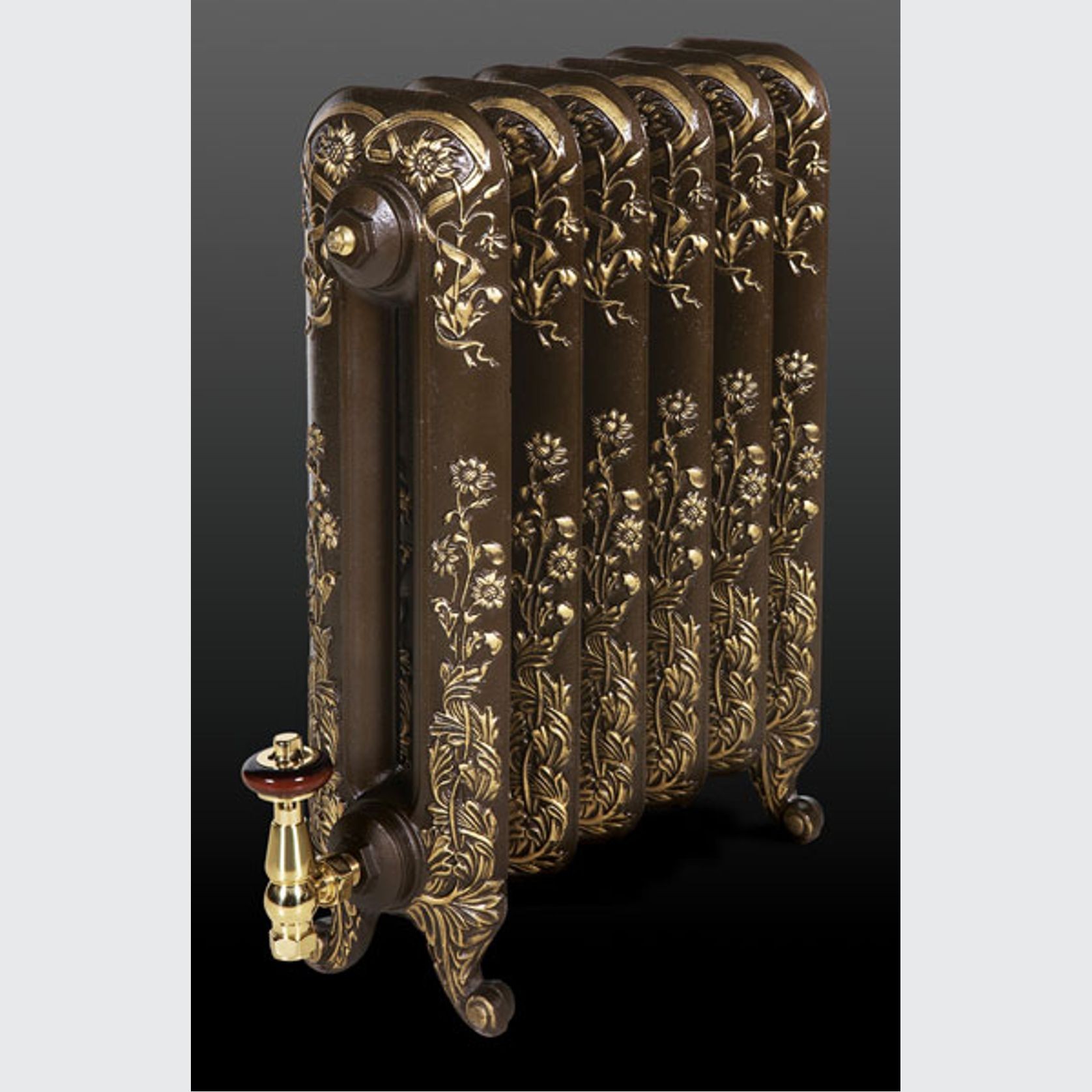 Montpellier Cast Iron Radiator Range by Paladin gallery detail image