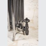 Neo-Georgian Cast Iron Radiator 4 Column Range by Paladin gallery detail image