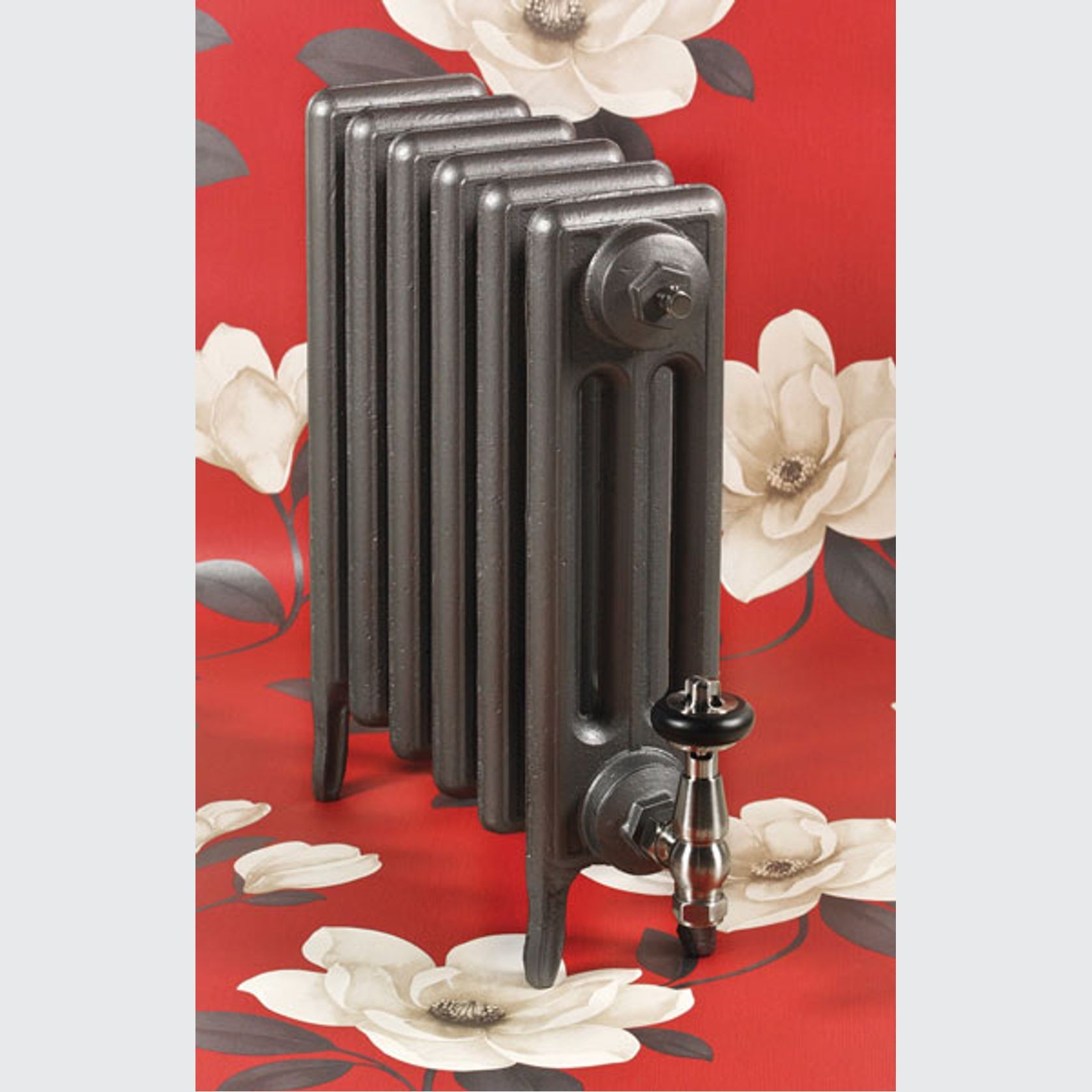 Paladin Cast Iron Radiators Custom Finish Choices gallery detail image