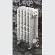 Paladin Cast Iron Radiators Custom Finish Choices gallery detail image