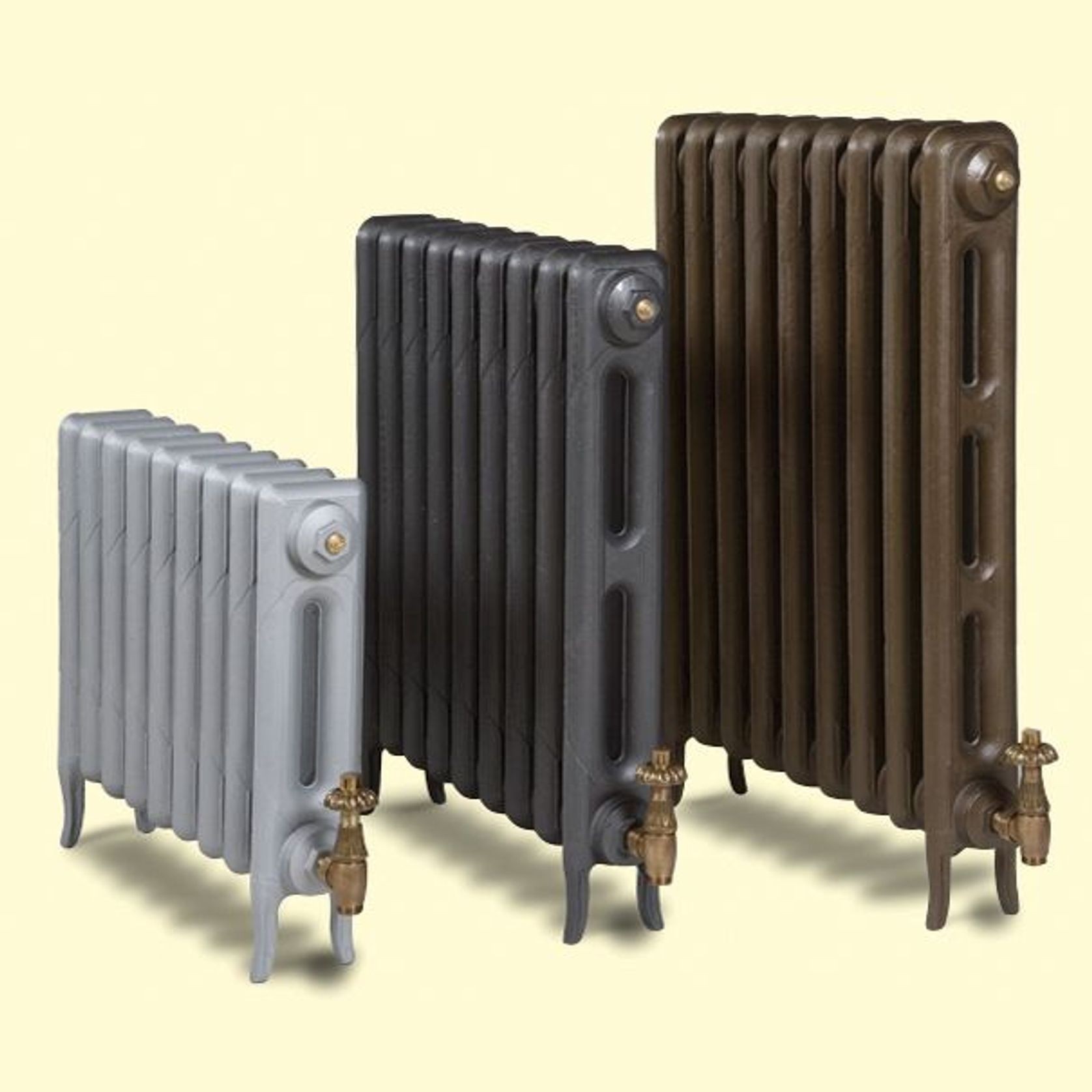 Pimlico Cast Iron Radiator Range by Paladin gallery detail image