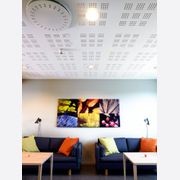 Protone 12mm Square Minigrid Perforated Plasterboard gallery detail image