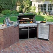 Summit E-660 Built-in Gas Grill by Weber gallery detail image