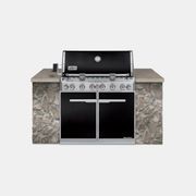 Summit E-660 Built-in Gas Grill by Weber gallery detail image