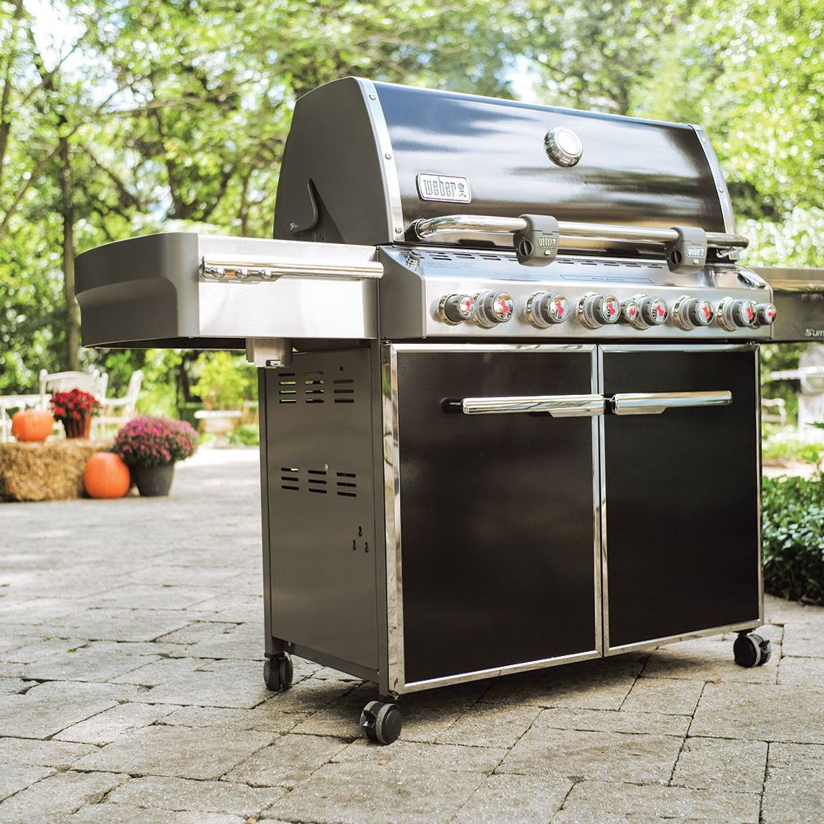 Summit E-670 Gas Grill by Weber gallery detail image