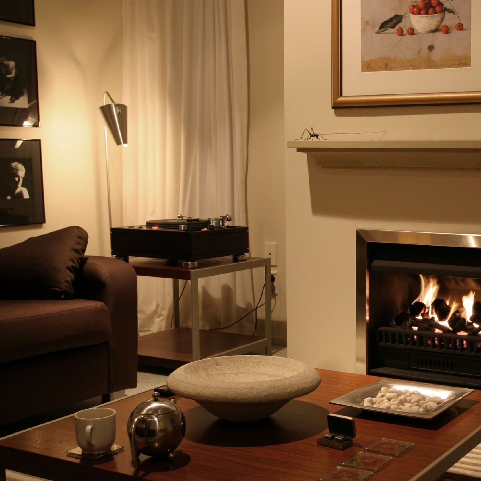 Thermoflow Open Gas Fireplace gallery detail image