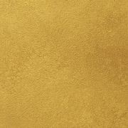 AquaGILD® Exterior Gold gallery detail image