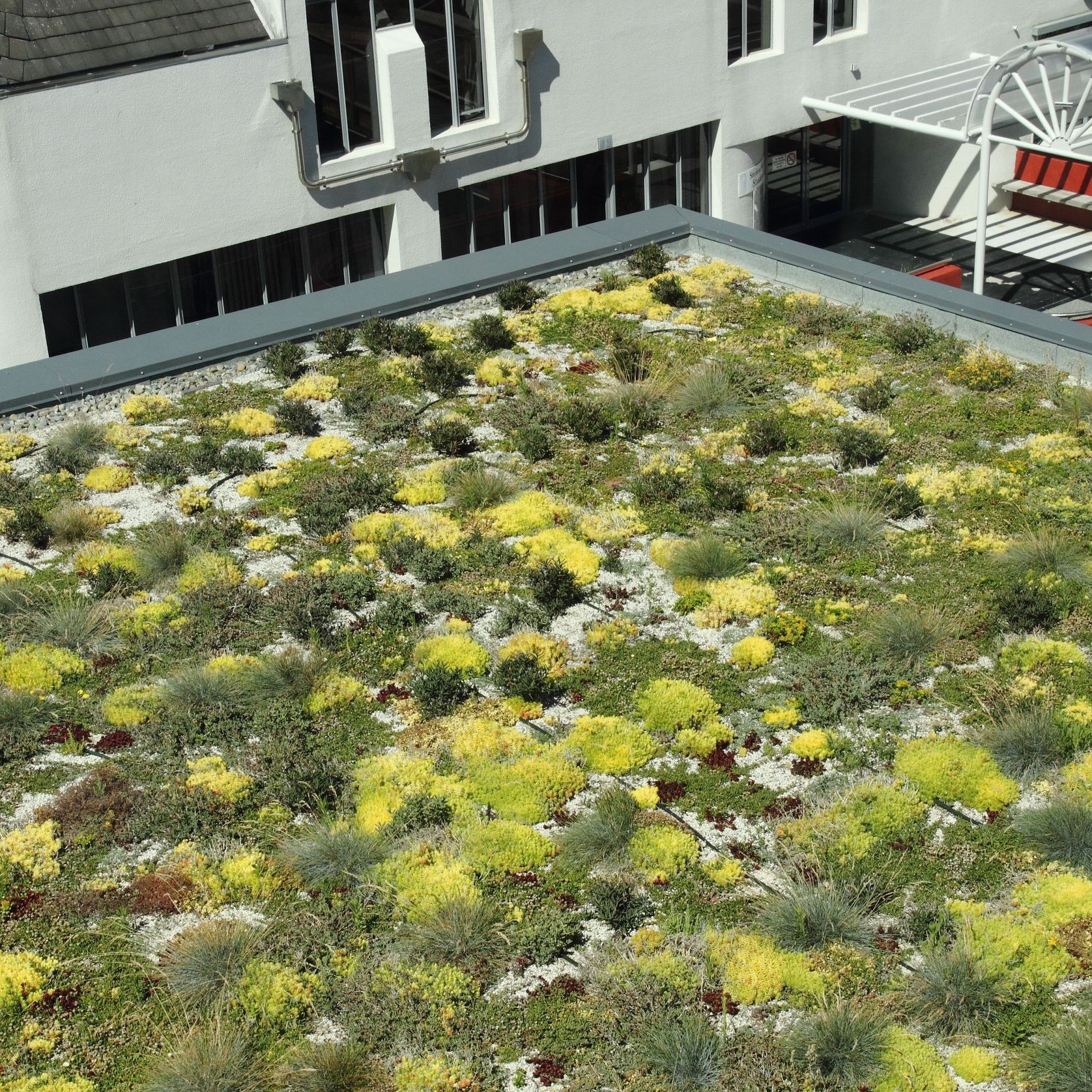 DUOTHERM Green Roof System gallery detail image