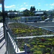 DUOTHERM Green Roof System gallery detail image