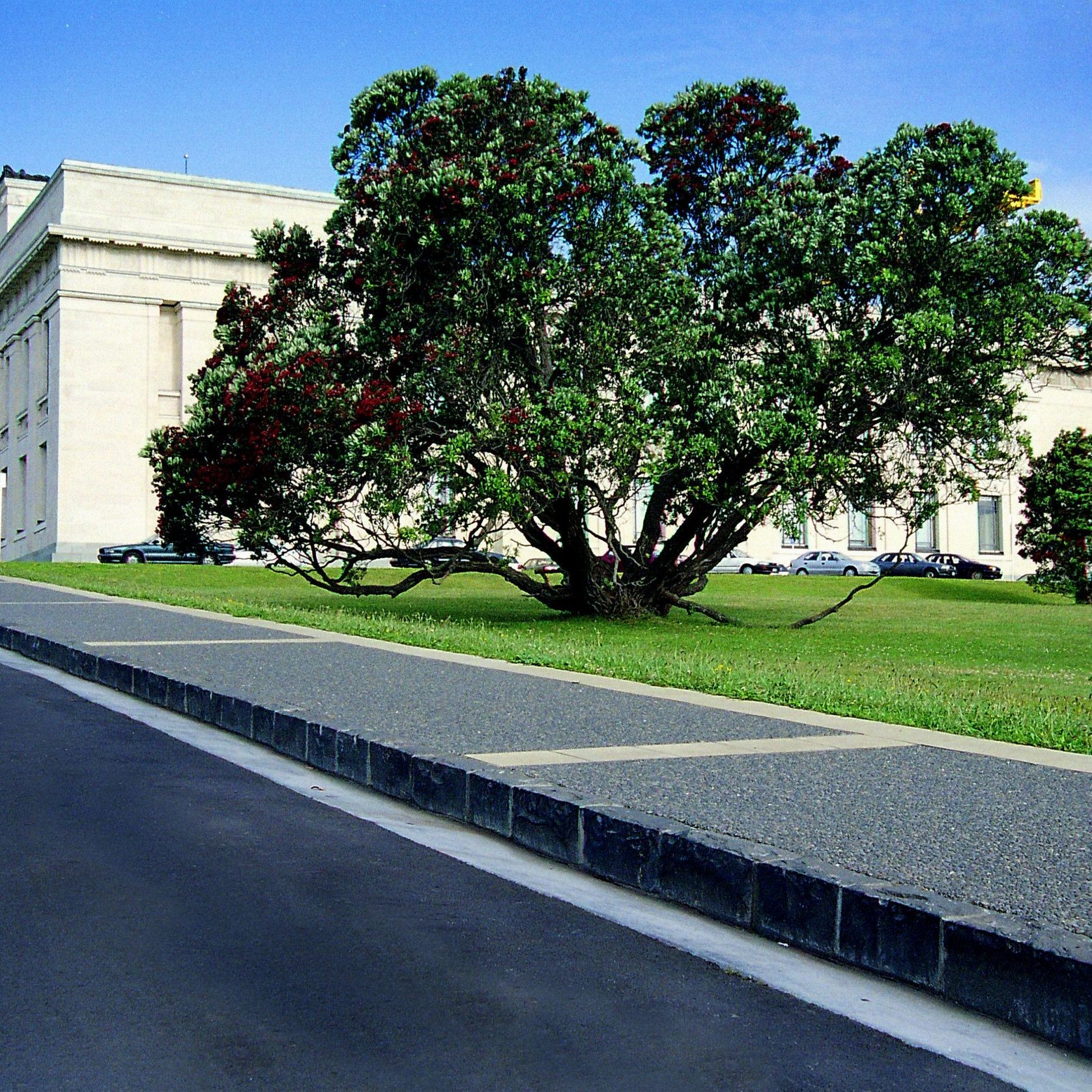 Stone Kerbing gallery detail image