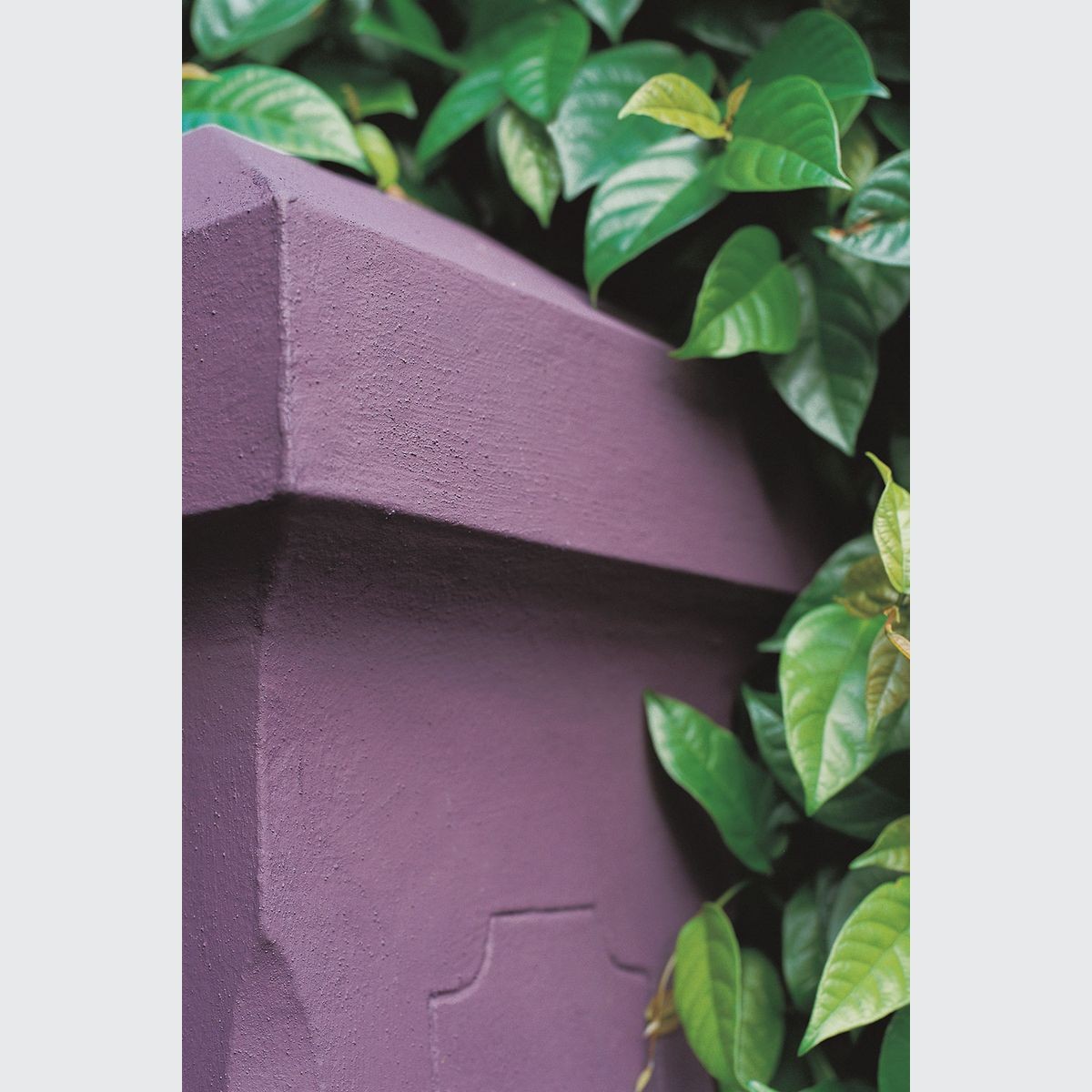 Stone Paint Coarse | ArchiPro NZ