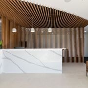 Austratus Clip-In Timber Fin Cladding Profile gallery detail image
