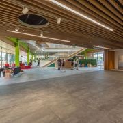 Austratus Clip-In Timber Ceiling and Wall Range gallery detail image