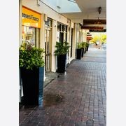 Black Powder Coated Tapered Column Planter gallery detail image