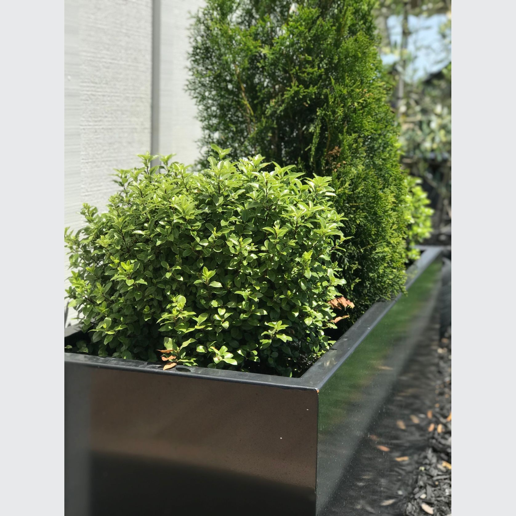 Black Powdercoated Trough Planter 1400 gallery detail image