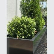 Black Powdercoated Trough Planter 1400 gallery detail image