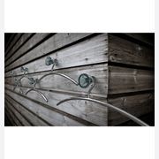 BLOSSOM Hook gallery detail image