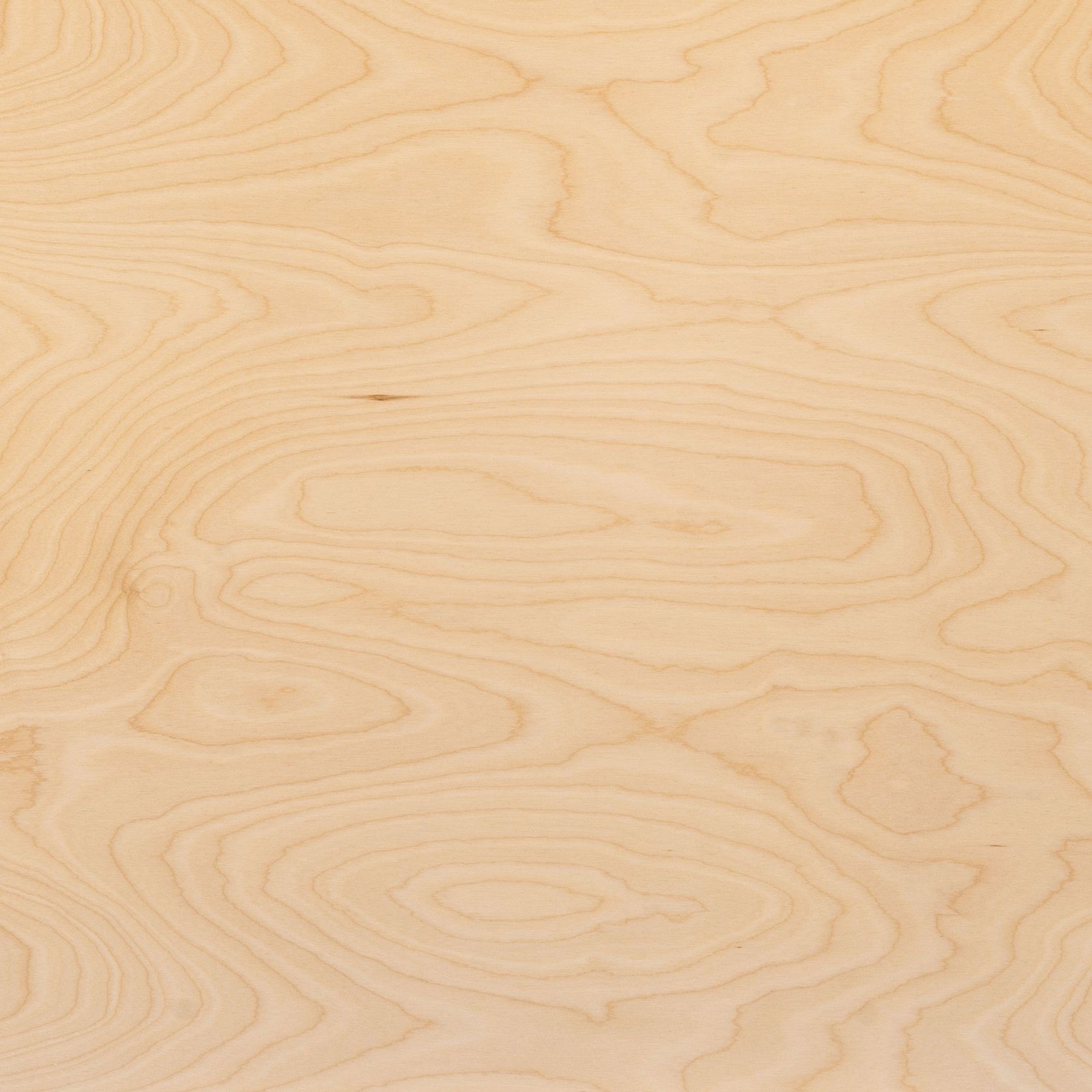 Classique Birch Pre | Wall & Ceiling Linings gallery detail image