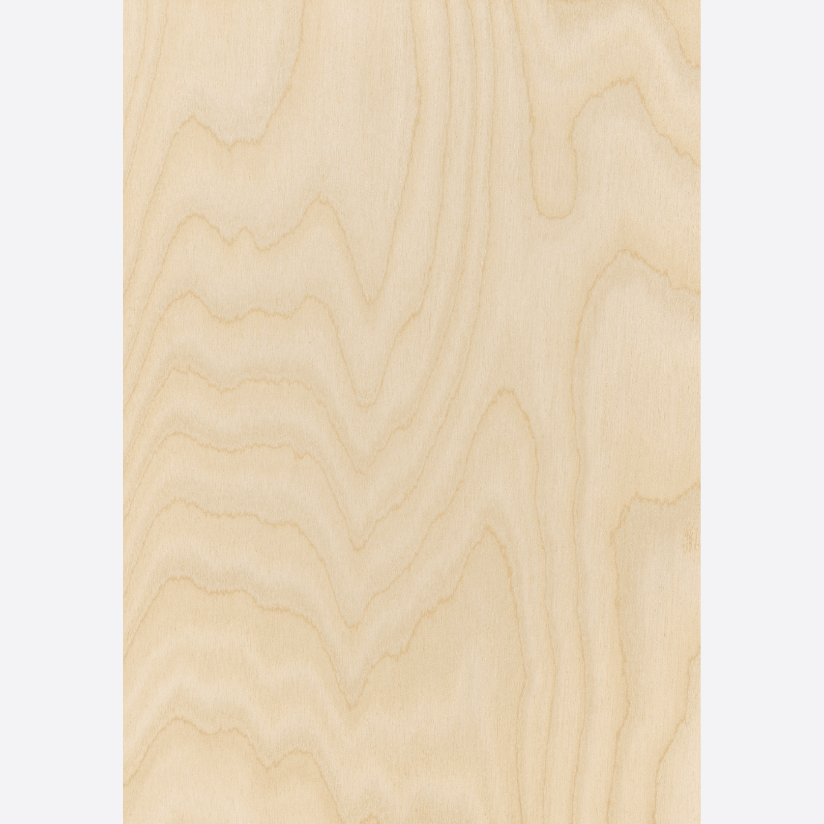 Classique Birch Pre | Wall & Ceiling Linings gallery detail image