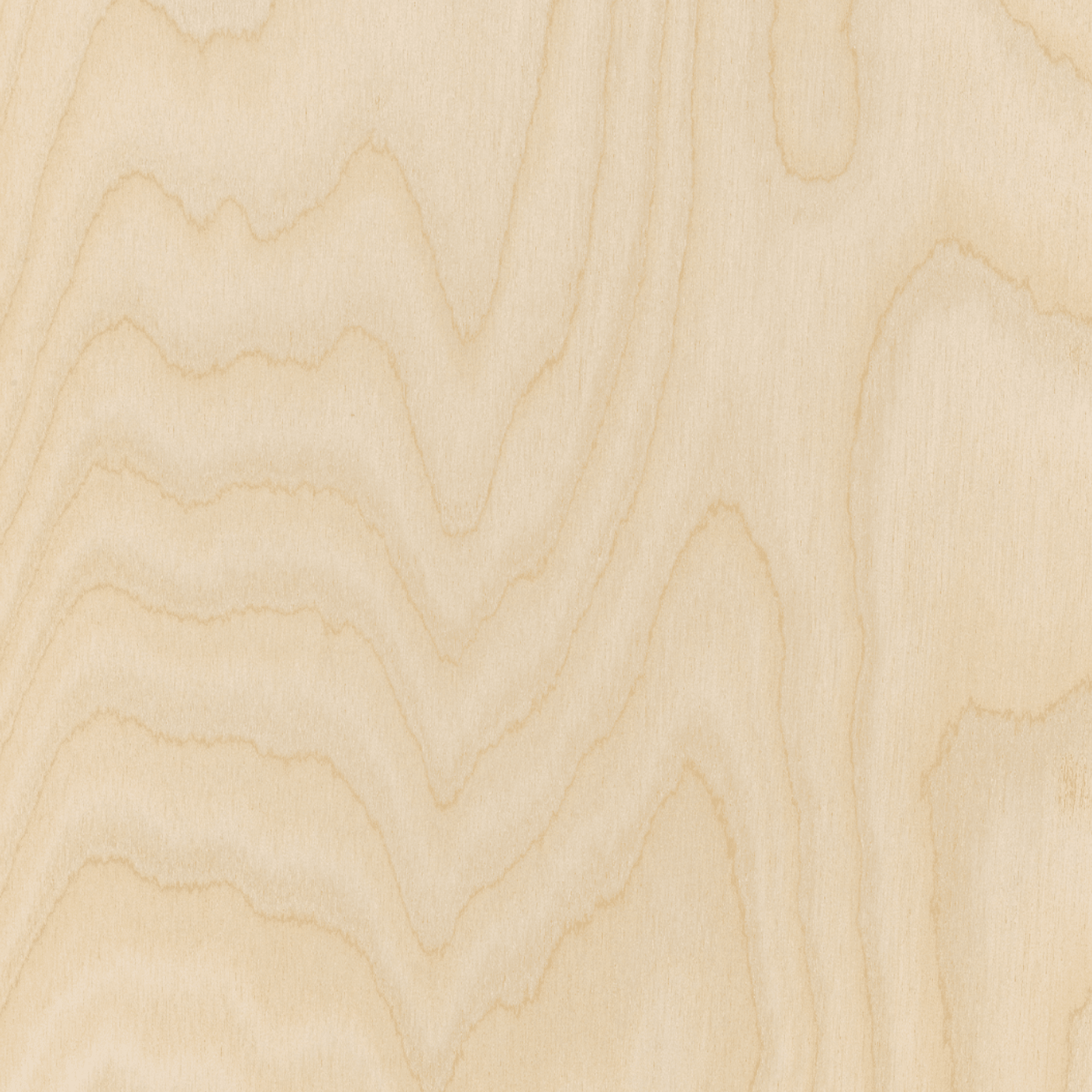 Classique Birch Pre | Wall & Ceiling Linings gallery detail image