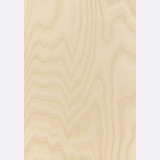 Classique Birch Pre | Wall & Ceiling Linings gallery detail image