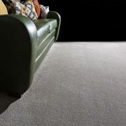 Delta Carpet gallery detail image