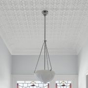 Dulux Ceiling White Paint gallery detail image