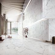 Evo Carrara & Statuario Wall & Floor Tiles gallery detail image