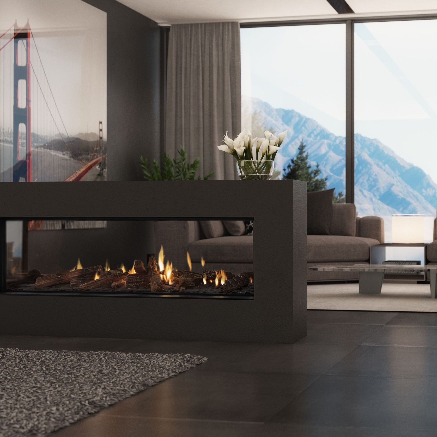 Escea DS1400 High Output Frameless Gas Fireplace gallery detail image