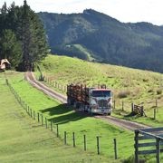 JSC Farm Totara gallery detail image