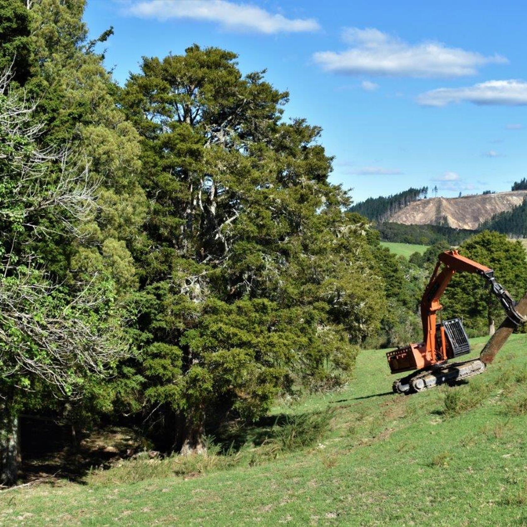 JSC Farm Totara gallery detail image