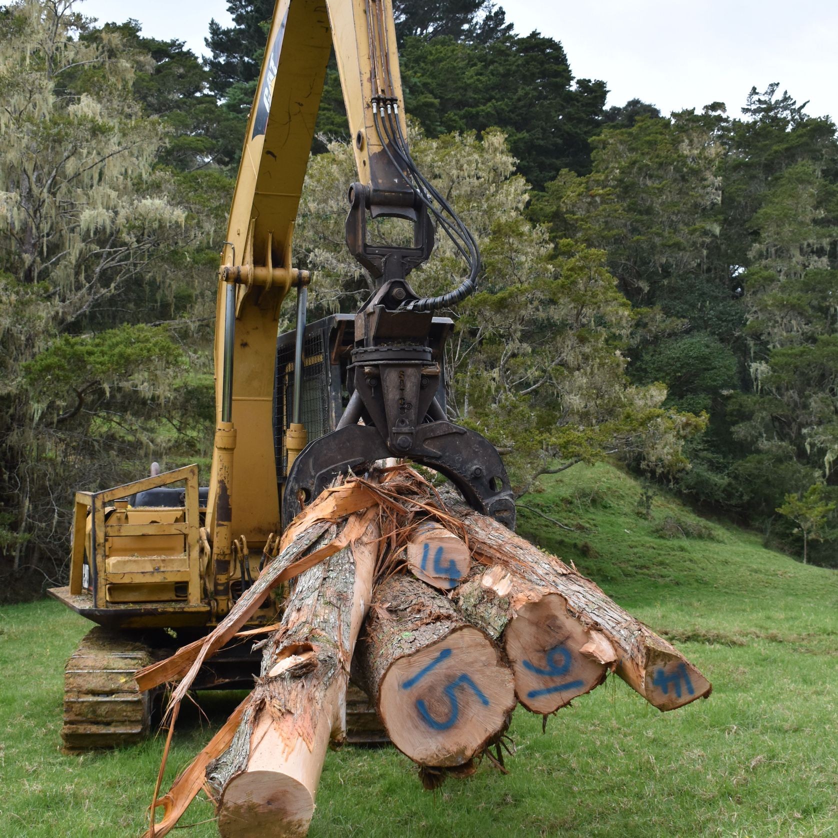 JSC Farm Totara gallery detail image