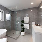 Frameless Glass Showers gallery detail image