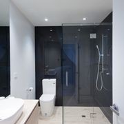 Frameless Glass Showers gallery detail image