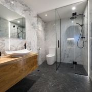 Frameless Glass Showers gallery detail image