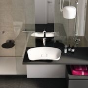 Goman - Universal & Accessible Bathroom Design gallery detail image