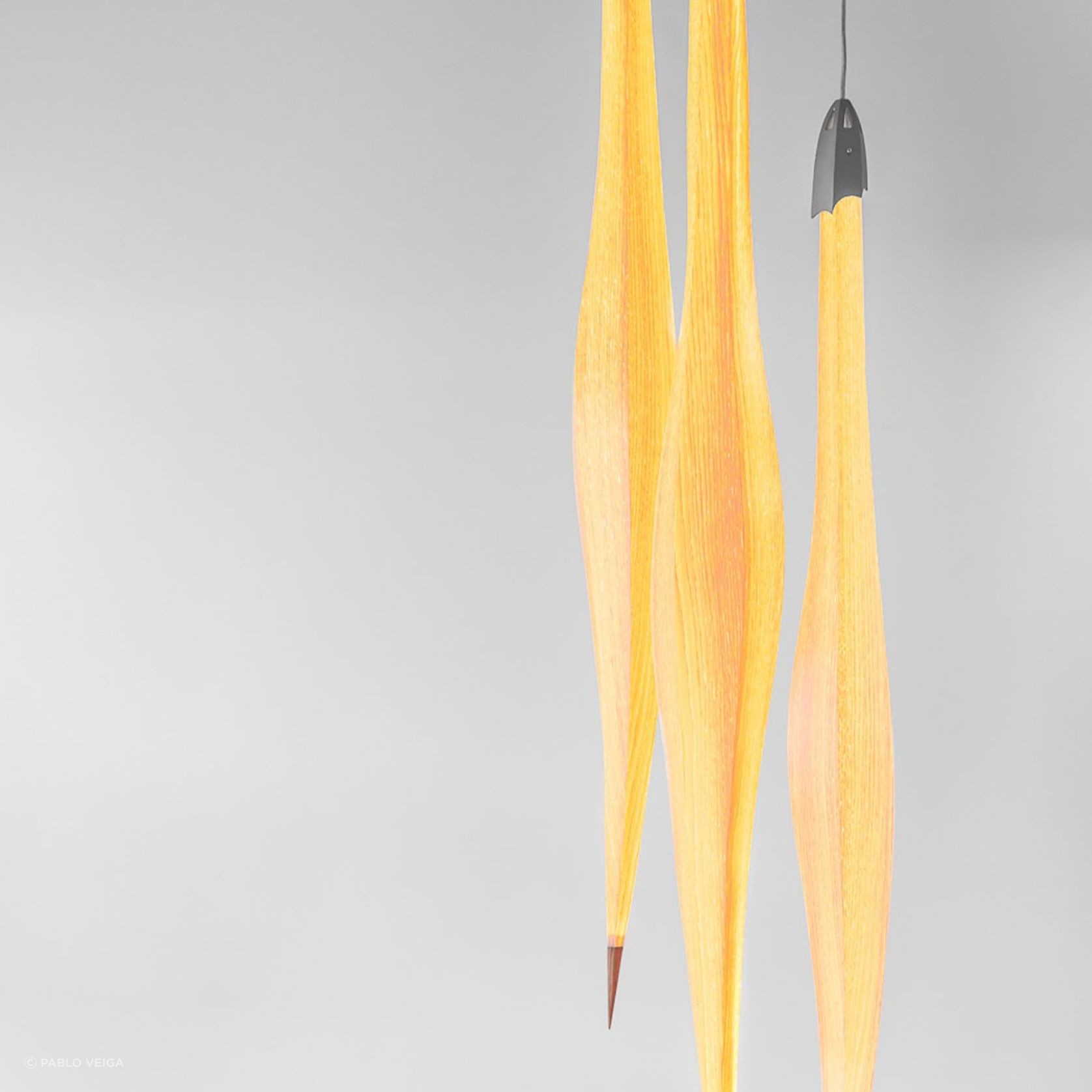 Harakeke Pods gallery detail image