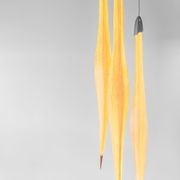 Harakeke Pods gallery detail image