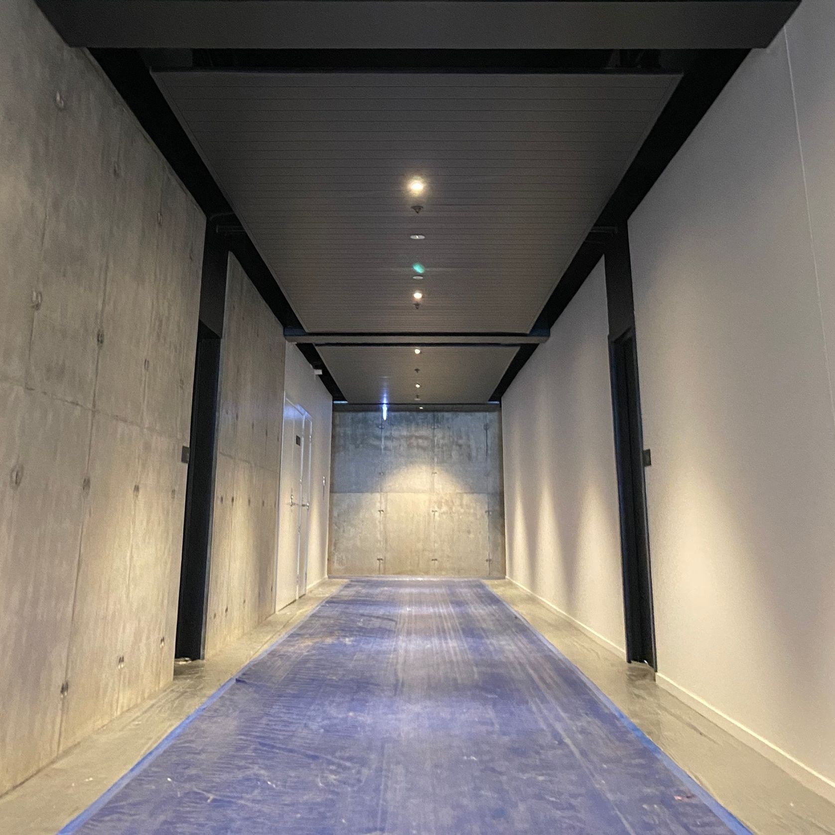 Ribon® Internal Ceilings gallery detail image