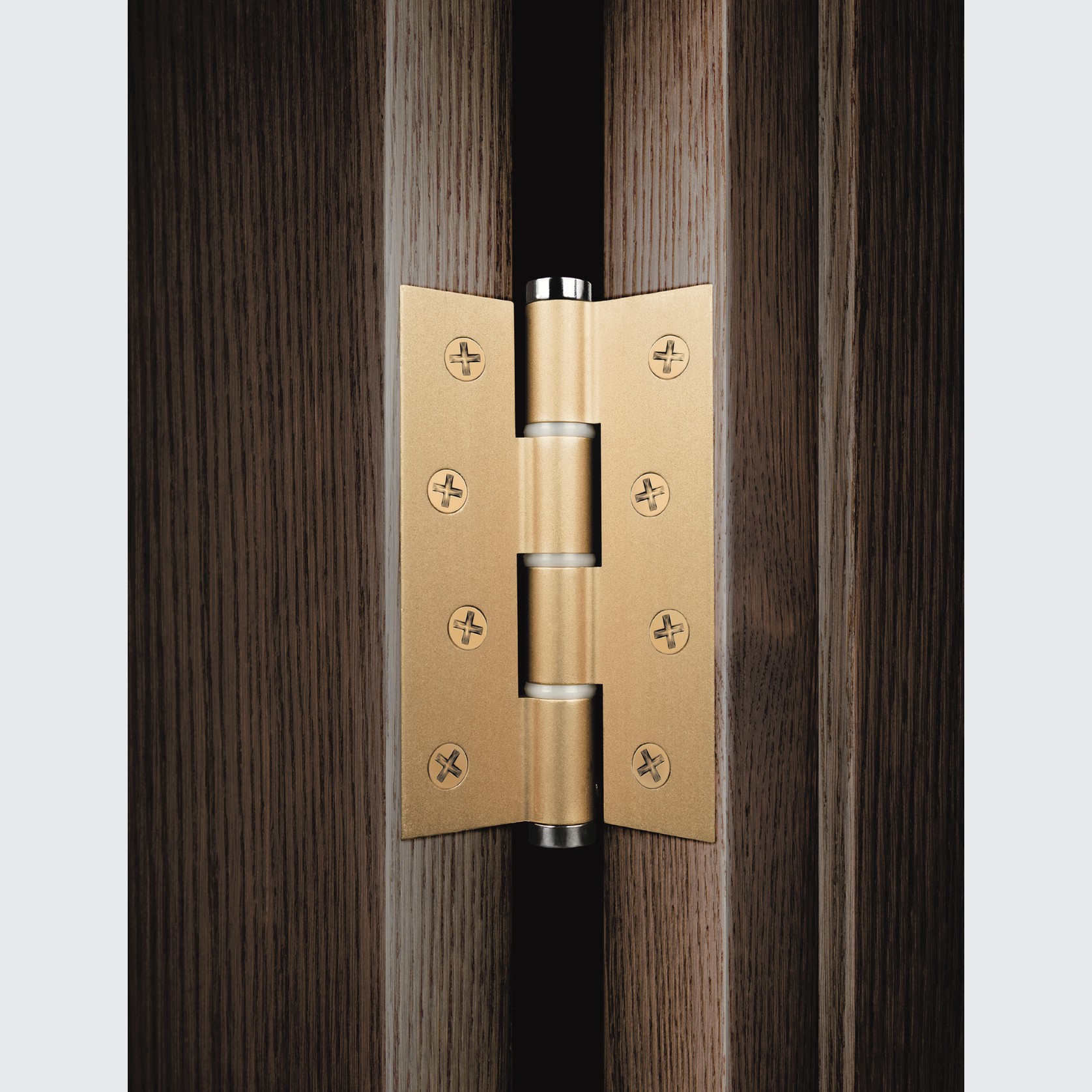 Justor Spring Hinges gallery detail image