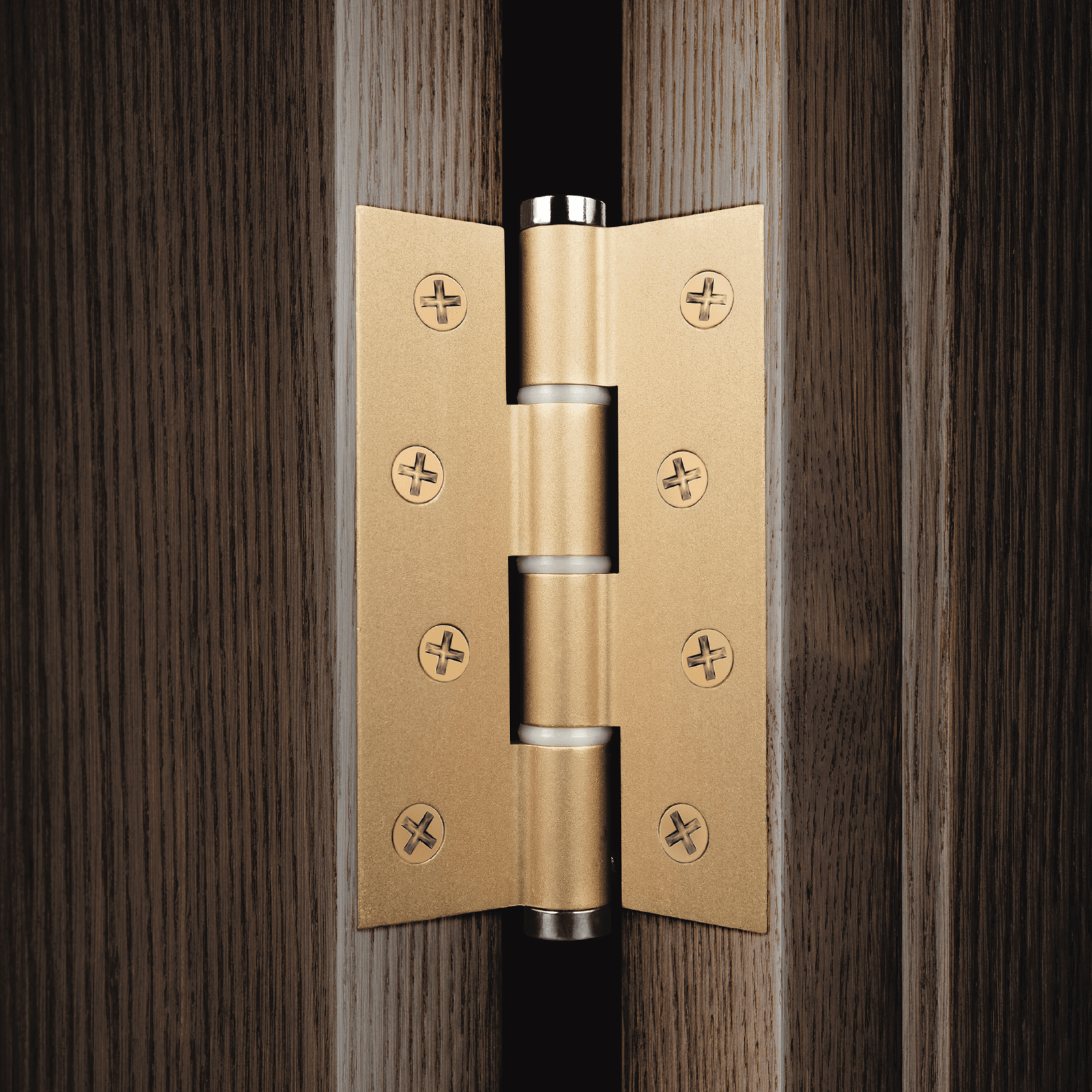 Justor Spring Hinges gallery detail image
