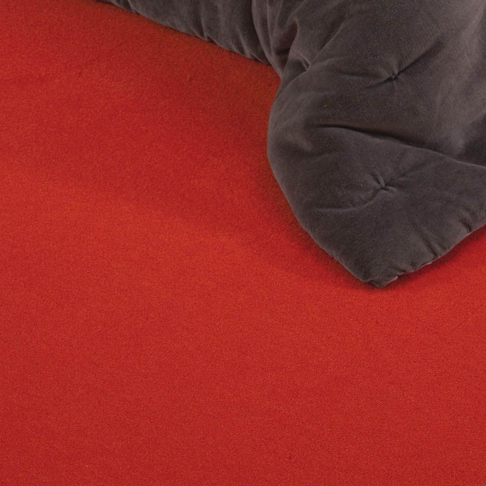 Les Best Carpet gallery detail image