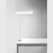 Linea Table and Bench Lamp by Karboxx gallery detail image