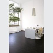 Luna Residential Vinyl gallery detail image