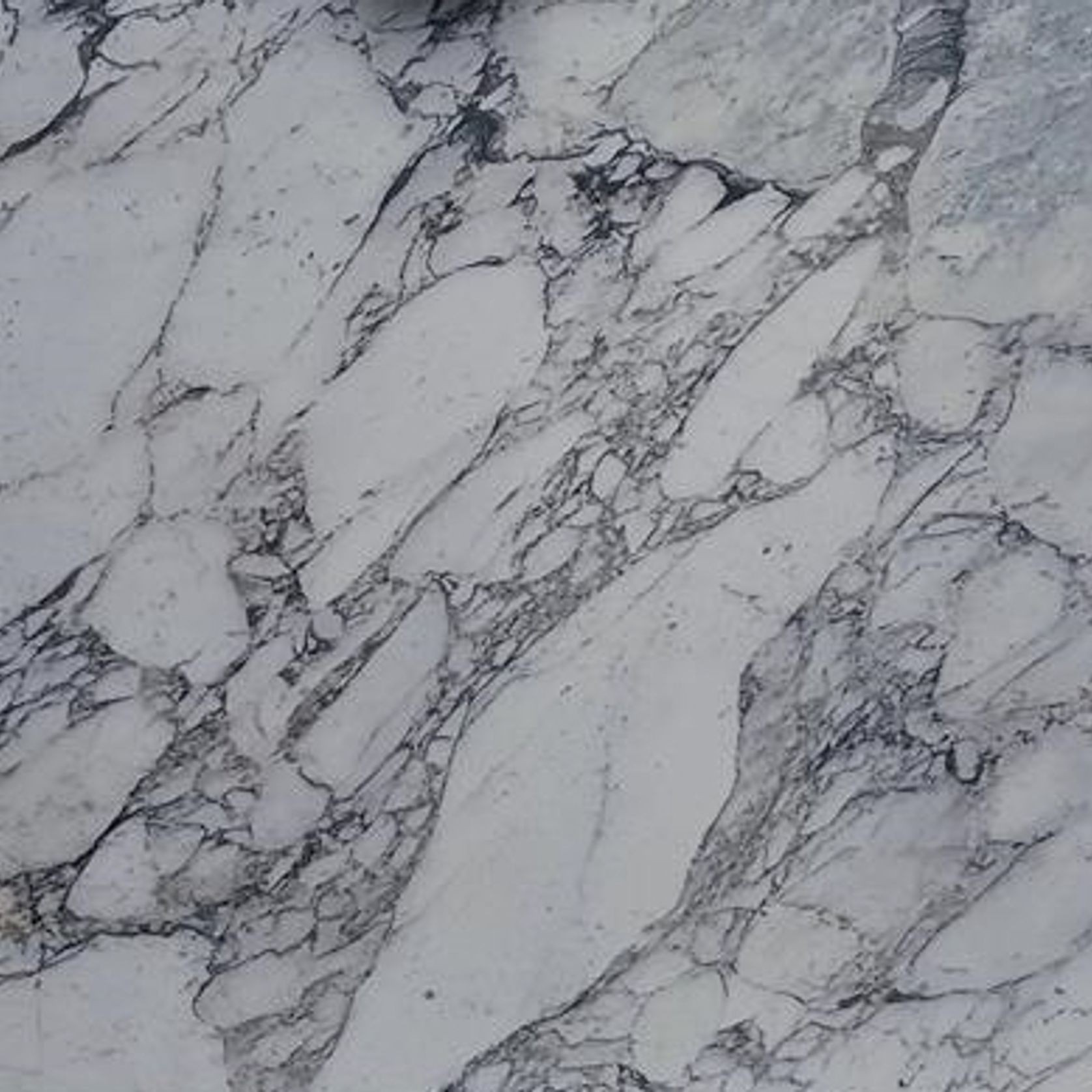 Arabescato Vagli - Marble  - Deluxe gallery detail image