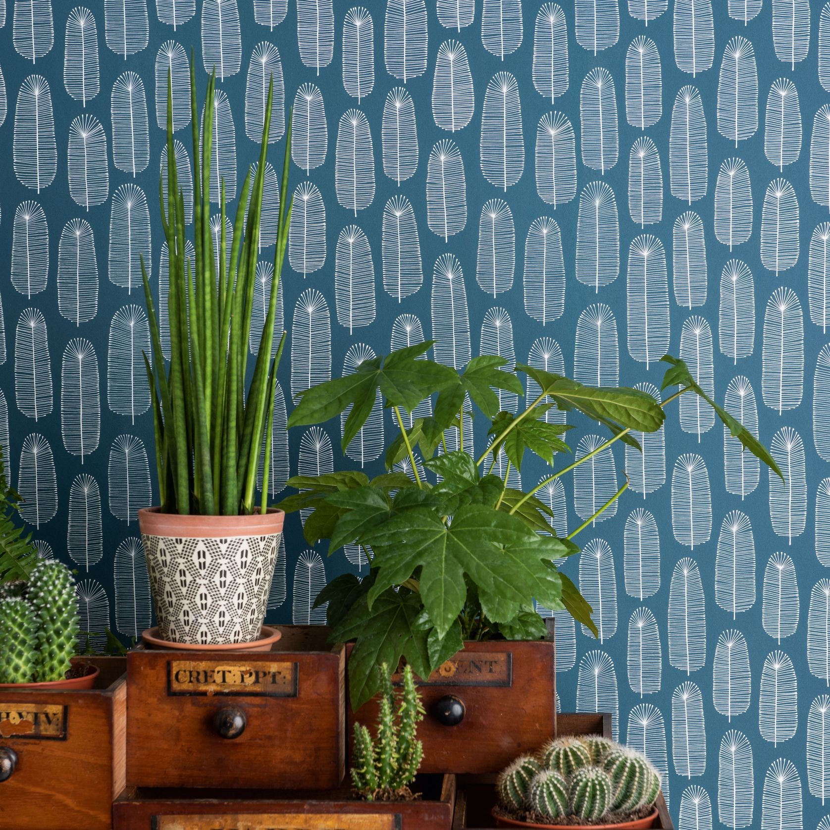 MissPrint Wallpaper gallery detail image
