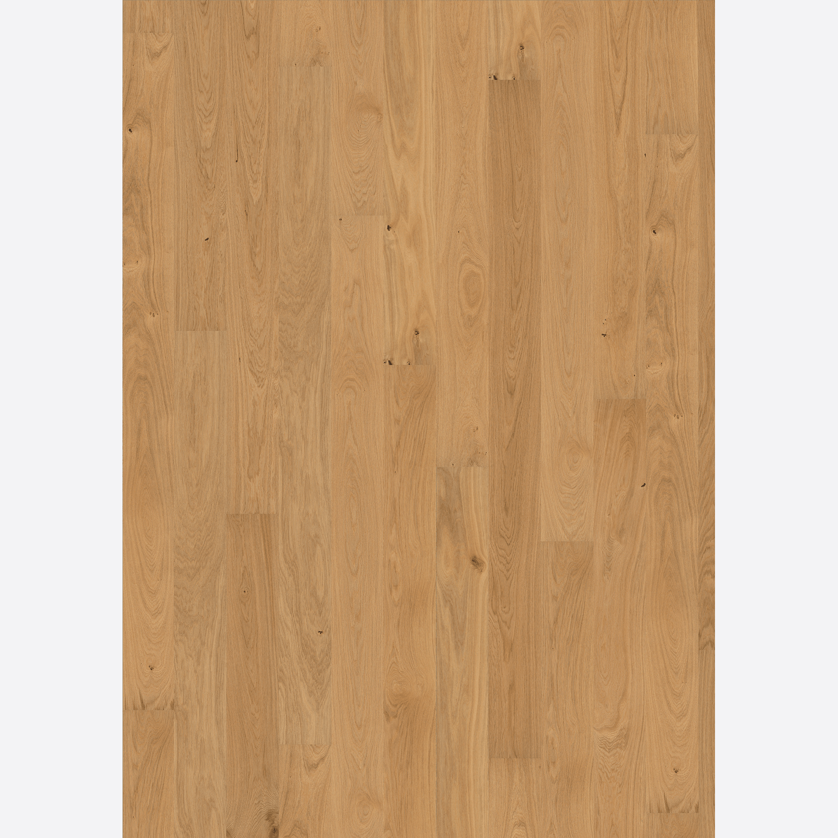 Oak Hampshire Wood Flooring gallery detail image