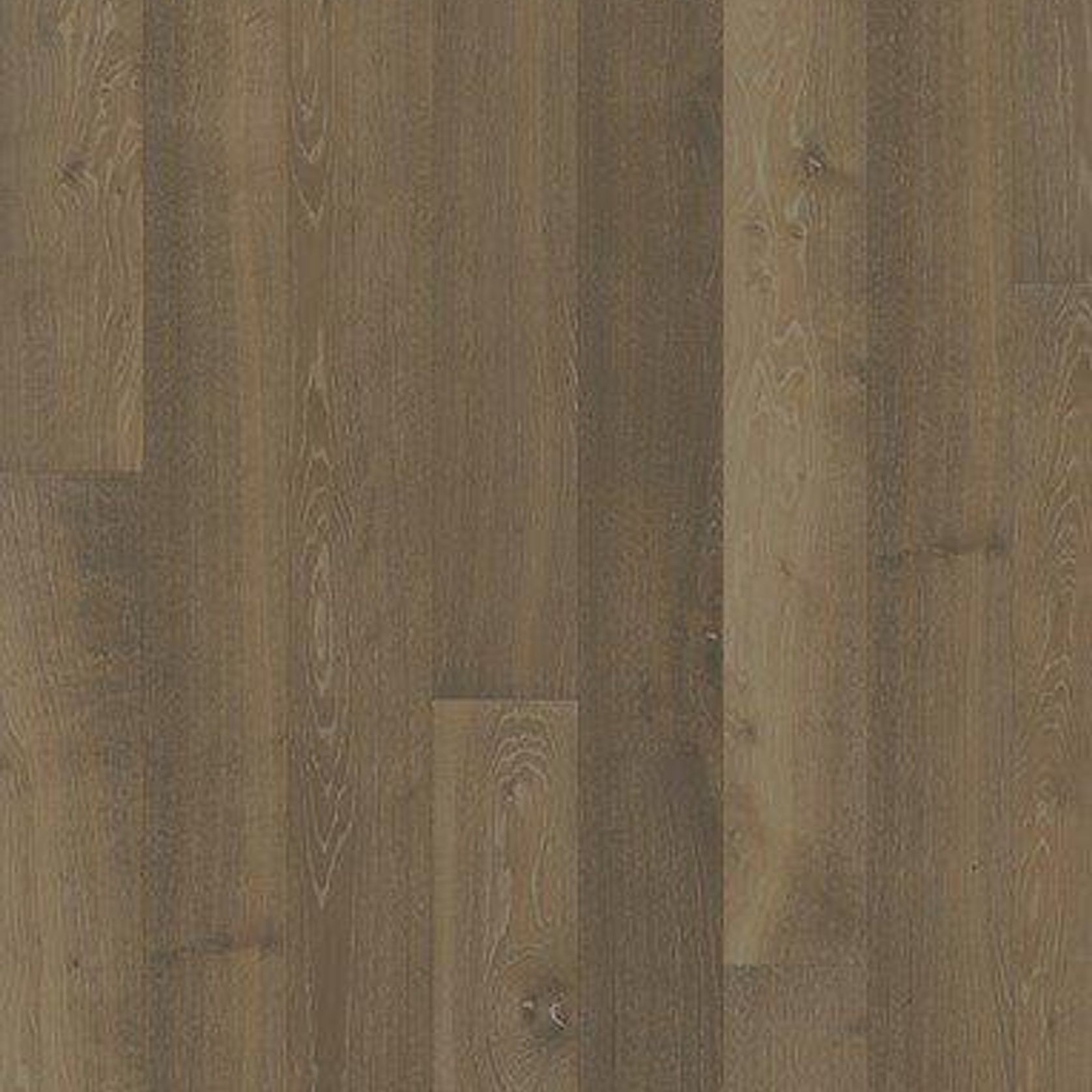 Oak Nouveau Greige Wood Flooring gallery detail image