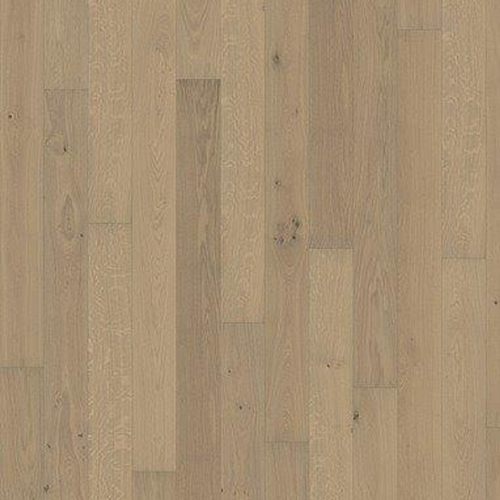 Oak Nouveau White Wood Flooring gallery detail image